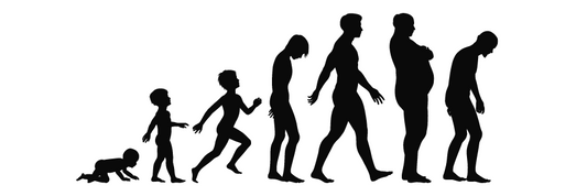 Average Height for UK Men at Different Ages